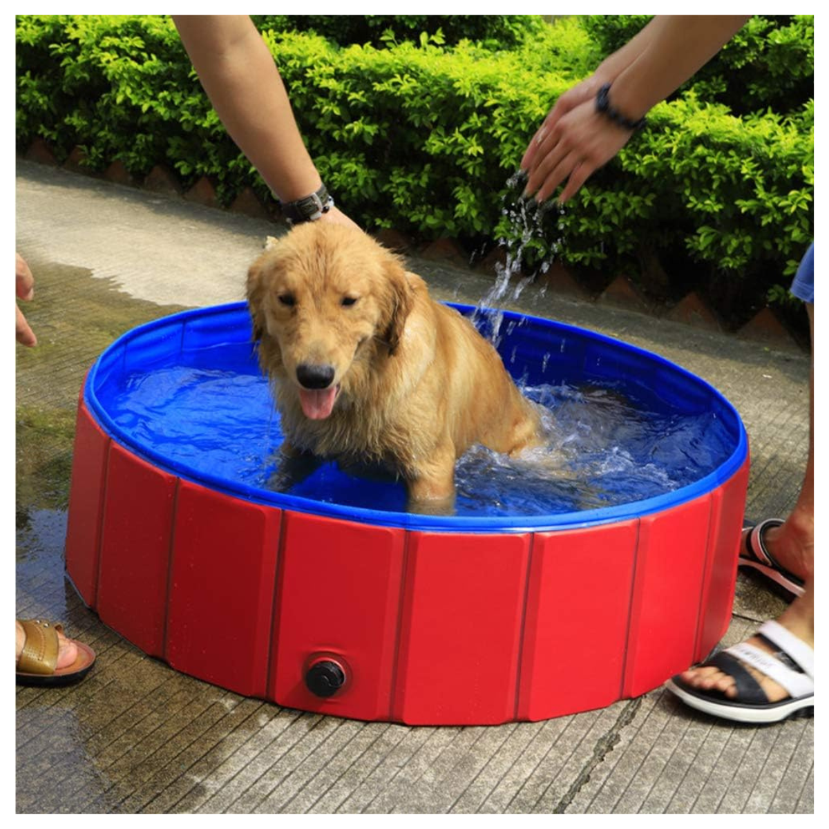 Piscina Resistente para Perros 80x20 cm